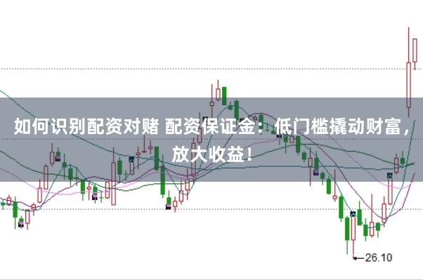 如何识别配资对赌 配资保证金:低门槛撬动财富,放大收益!