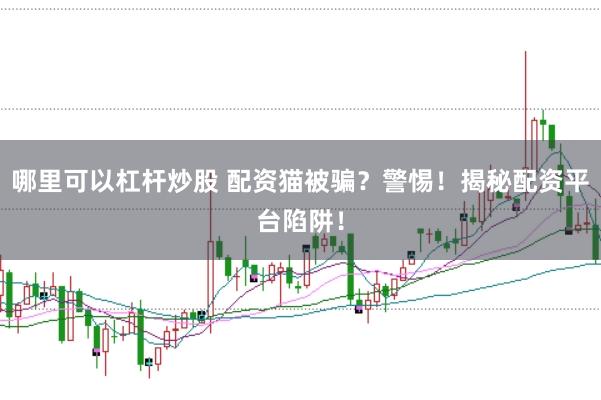 哪里可以杠杆炒股 配资猫被骗？警惕！揭秘配资平台陷阱！