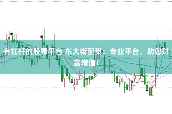 有杠杆的股票平台 东大街配资：专业平台，助您财富增值！