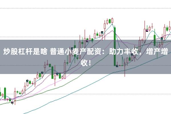 炒股杠杆是啥 普通小麦产配资：助力丰收，增产增收！